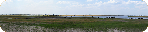 Chobe Riverfront